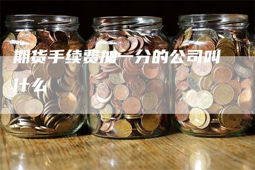 期货手续费加一分的公司叫什么