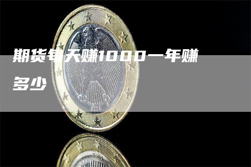 期货每天赚1000一年赚多少