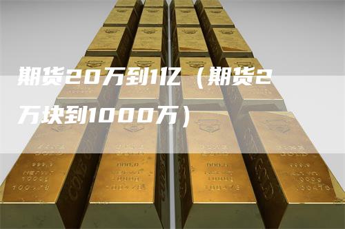 期货20万到1亿（期货2万块到1000万）