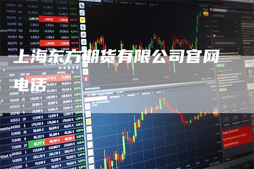 上海东方期货有限公司官网电话