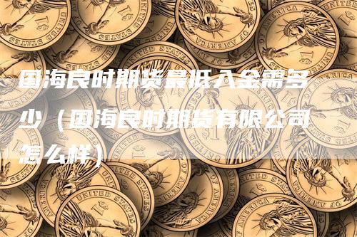 国海良时期货最低入金需多少（国海良时期货有限公司怎么样）