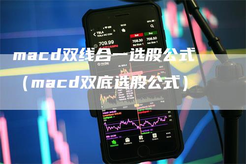 macd双线合一选股公式（macd双底选股公式）