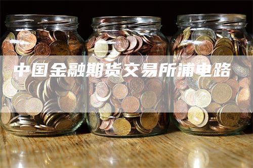 中国金融期货交易所浦电路