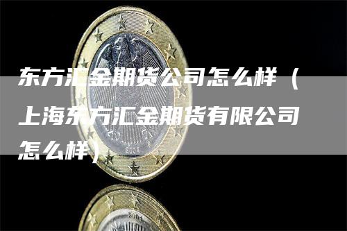 东方汇金期货公司怎么样（上海东方汇金期货有限公司怎么样）