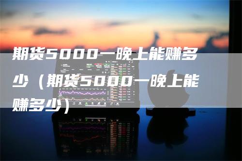 期货5000一晚上能赚多少（期货5000一晚上能赚多少）