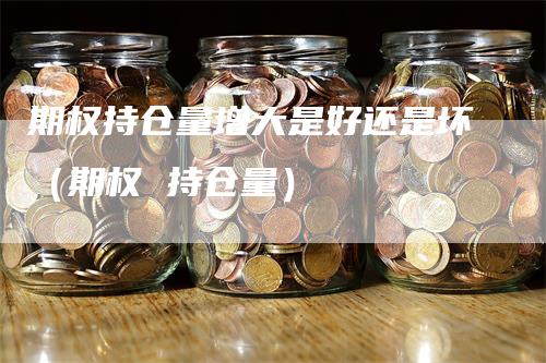 期权持仓量增大是好还是坏（期权 持仓量）