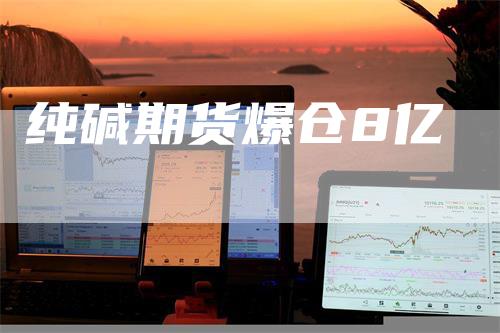纯碱期货爆仓8亿