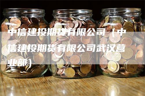 中信建投期货有限公司（中信建投期货有限公司武汉营业部）