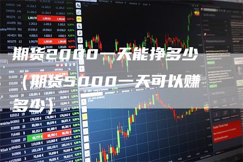 期货2000一天能挣多少（期货5000一天可以赚多少）