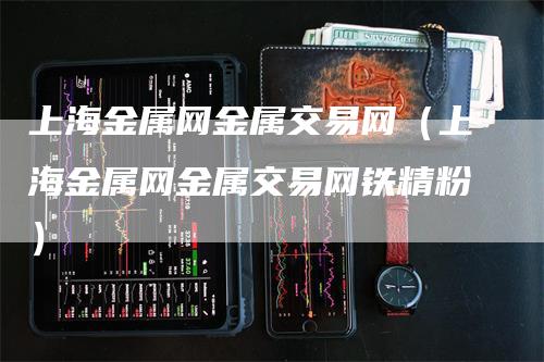 上海金属网金属交易网（上海金属网金属交易网铁精粉）