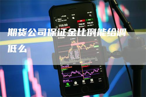 期货公司保证金比例能给调低么