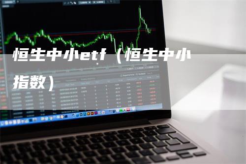 恒生中小etf（恒生中小指数）