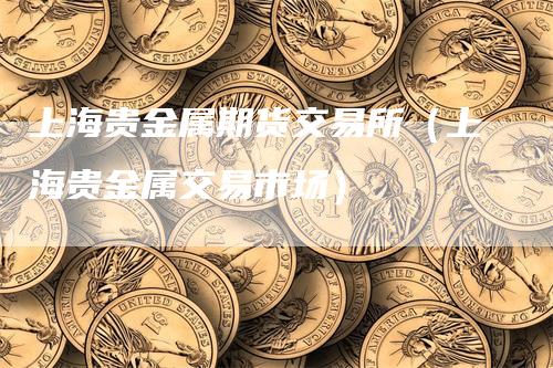 上海贵金属期货交易所（上海贵金属交易市场）