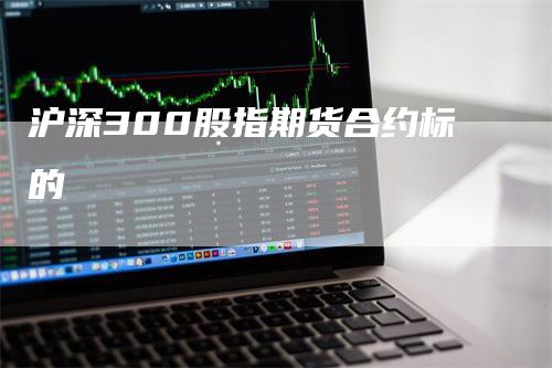 沪深300股指期货合约标的