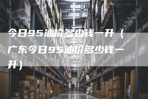 今日95油价多少钱一升（广东今日95油价多少钱一升）