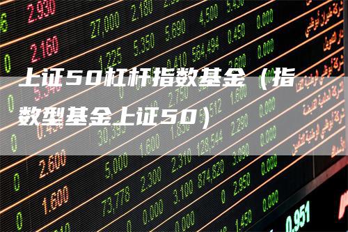 上证50杠杆指数基金（指数型基金上证50）