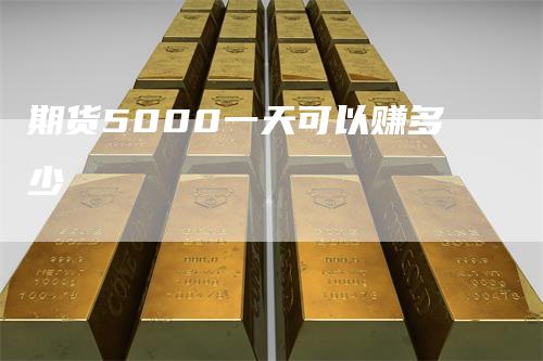 期货5000一天可以赚多少