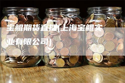 宝鲲期货直播(上海宝鲲实业有限公司)