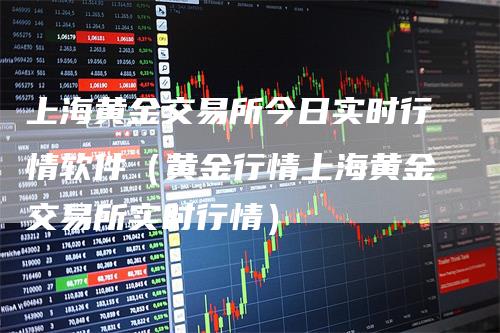 上海黄金交易所今日实时行情软件（黄金行情上海黄金交易所实时行情）