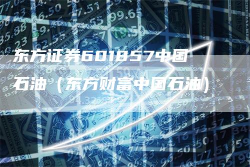 东方证券601857中国石油（东方财富中国石油）