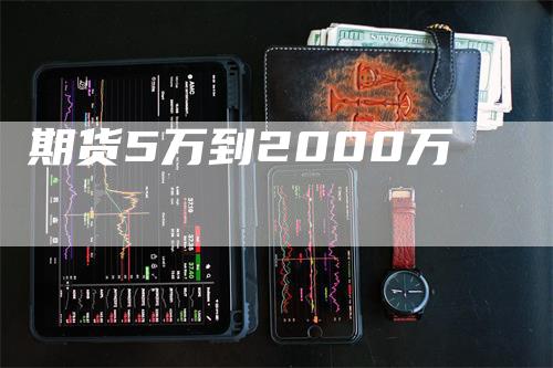 期货5万到2000万