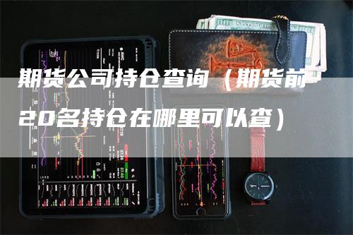 期货公司持仓查询（期货前20名持仓在哪里可以查）