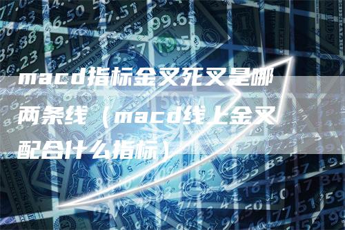 macd指标金叉死叉是哪两条线（macd线上金叉配合什么指标）