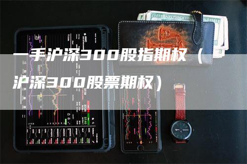 一手沪深300股指期权（沪深300股票期权）