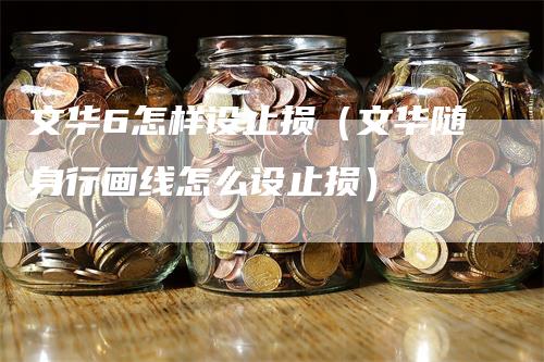 文华6怎样设止损（文华随身行画线怎么设止损）