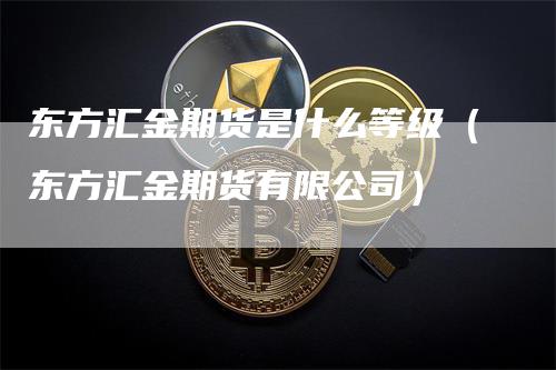 东方汇金期货是什么等级（东方汇金期货有限公司）